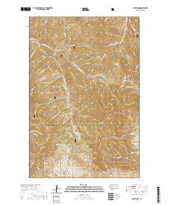 Arrow Peak 2020 topographic map thumbnail