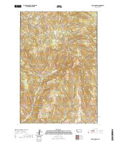 Bailey Mountain 2020 topographic map thumbnail