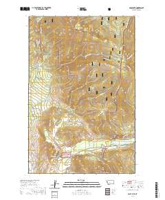 Baldy Lake 2020 topographic map thumbnail
