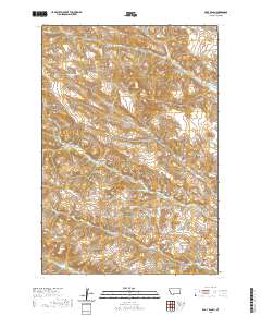 Bar V Ranch 2020 topographic map thumbnail