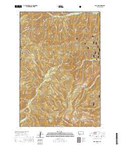 Bare Cone 2020 topographic map thumbnail