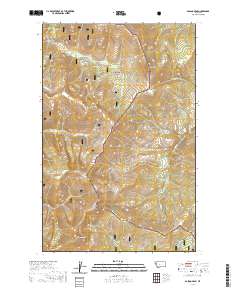 Bassoo Peak 2020 topographic map thumbnail