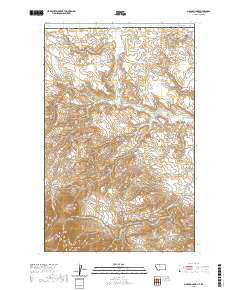 Bingham Lake 2020 topographic map thumbnail