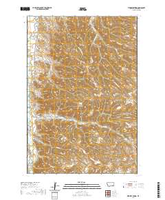 Birdseye Spring 2020 topographic map thumbnail