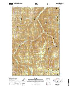 Bison Mountain 2020 topographic map thumbnail