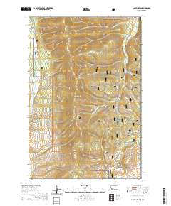 Black Pine Ridge 2020 topographic map thumbnail