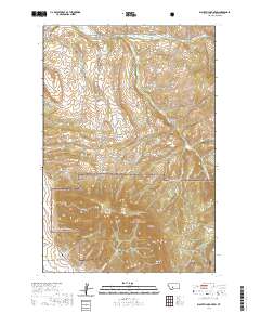 Blacktail Mountain 2020 topographic map thumbnail