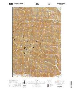 Blue Mountain 2020 topographic map thumbnail