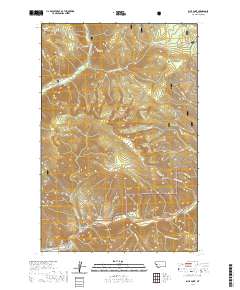 Blue Point 2020 topographic map thumbnail