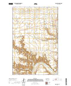Boggs Island 2020 topographic map thumbnail