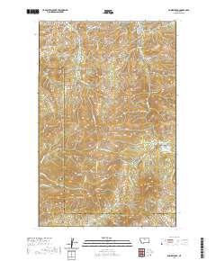 Bowery Peak 2020 topographic map thumbnail