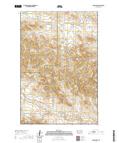 Brown Spring 2020 topographic map thumbnail