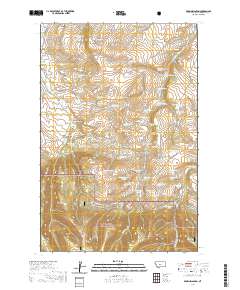 Browns Canyon 2020 topographic map thumbnail