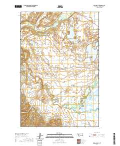 Browns Lake 2020 topographic map thumbnail