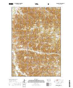 Browns Mountain 2020 topographic map thumbnail