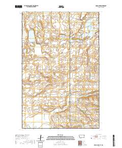 Brush Lake 2020 topographic map thumbnail