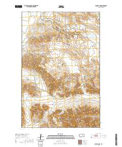 Buckley Lake 2020 topographic map thumbnail