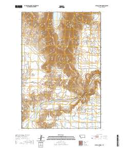 Buffalo Bridge 2020 topographic map thumbnail