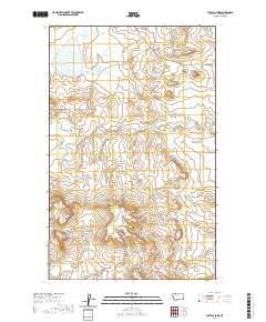 Buffalo Lake 2020 topographic map thumbnail