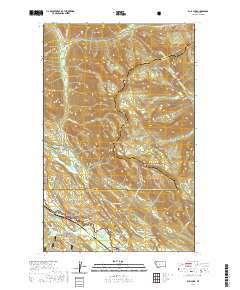 Bull Lake 2020 topographic map thumbnail