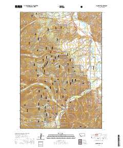 Burnt Ridge 2020 topographic map thumbnail