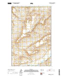 Bushnell Hill 2020 topographic map thumbnail