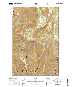 Calico Creek 2020 topographic map thumbnail