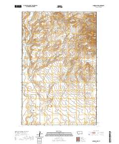 Cameron Lake 2020 topographic map thumbnail