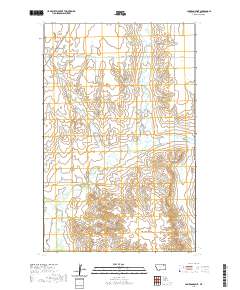 Cameron Point 2020 topographic map thumbnail