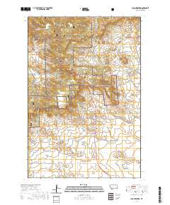 Camp Needmore 2020 topographic map thumbnail