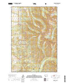 Campfire Lake 2020 topographic map thumbnail