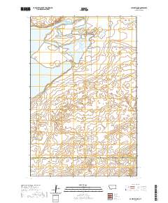 Capeneys Lake 2020 topographic map thumbnail