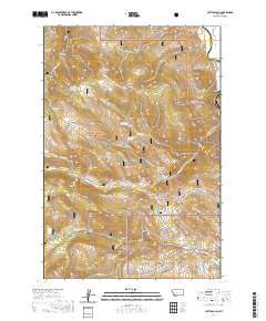 Cattle Gulch 2020 topographic map thumbnail