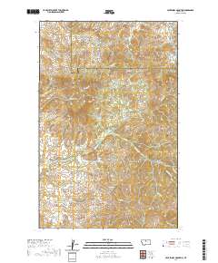 Centennial Mountain 2020 topographic map thumbnail