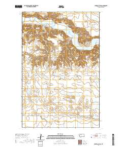 Central School 2020 topographic map thumbnail