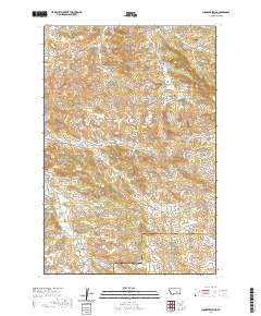 Chandler Spring 2020 topographic map thumbnail