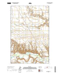 Circle Bridge 2020 topographic map thumbnail