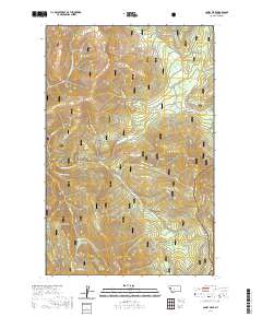 Coney Peak 2020 topographic map thumbnail