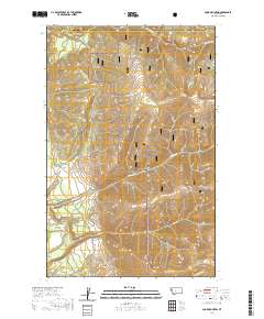 Cook Mountain 2020 topographic map thumbnail