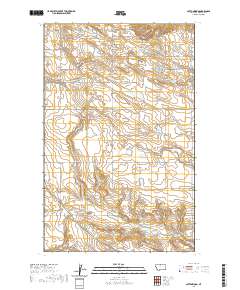 Cottonwood 2020 topographic map thumbnail