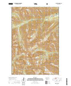 Crazy Peak 2020 topographic map thumbnail