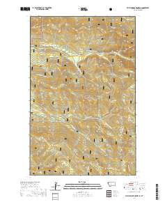 Cripple Horse Mountain 2020 topographic map thumbnail