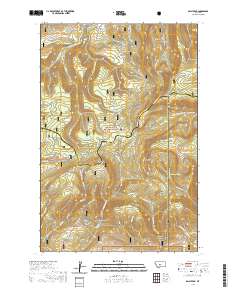 Daisy Peak 2020 topographic map thumbnail