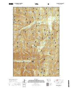 Davis Mountain 2020 topographic map thumbnail
