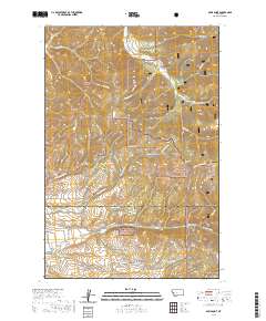 Davis Point 2020 topographic map thumbnail
