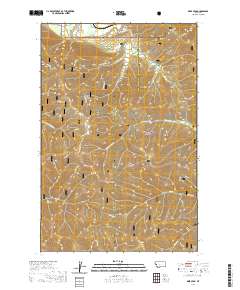 Deer Peak 2020 topographic map thumbnail