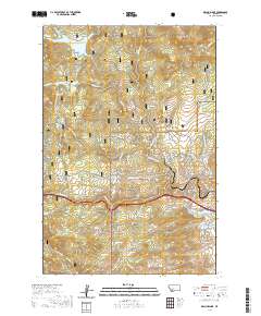 Delmoe Lake 2020 topographic map thumbnail