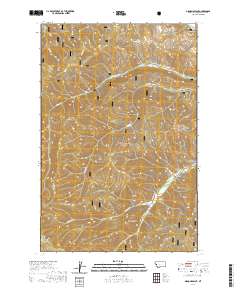 Diamond Point 2020 topographic map thumbnail