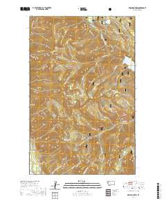 Doris Mountain 2020 topographic map thumbnail
