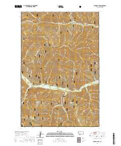Driveway Peak 2020 topographic map thumbnail